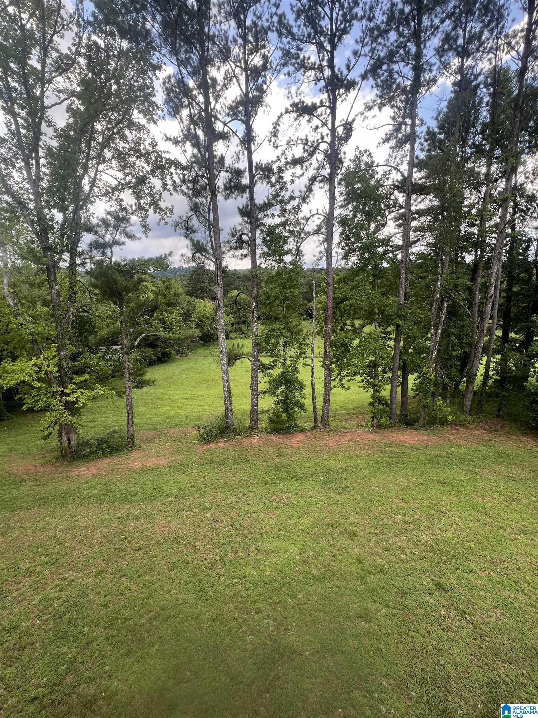 7938 Happy Hollow Road Trussville, AL 35173 - Photo 42 of 43