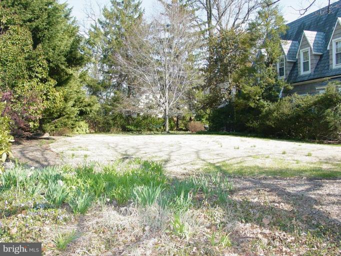 7007 Copeleigh Road Baltimore, MD 21212 - Photo 7 of 30 a view of yard with large trees