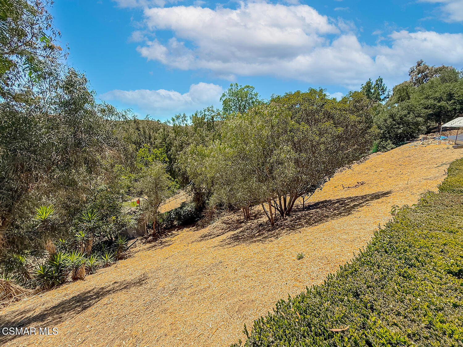1351 Rambling Road Simi Valley, CA 93065 - Photo 61 of 70 iBackyard13