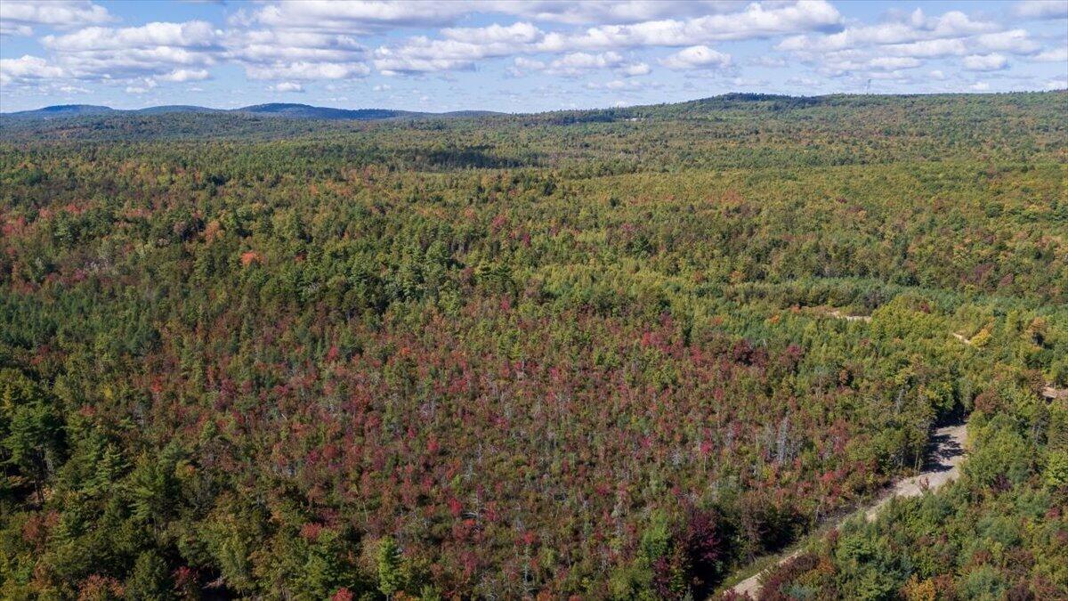 Lot #14 Pine Plains Road Liberty, ME 04949 - Photo 30 of 36 46-Pine Plains-46