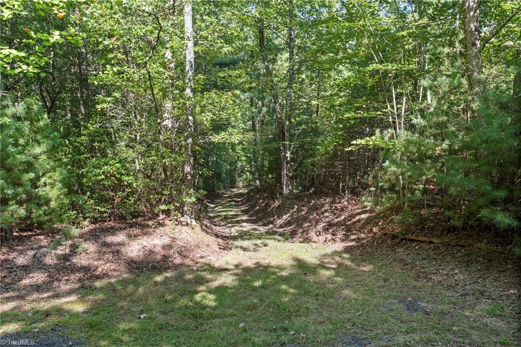 0 Mertie Road Millers Creek, NC 28651 - Photo 11 of 34