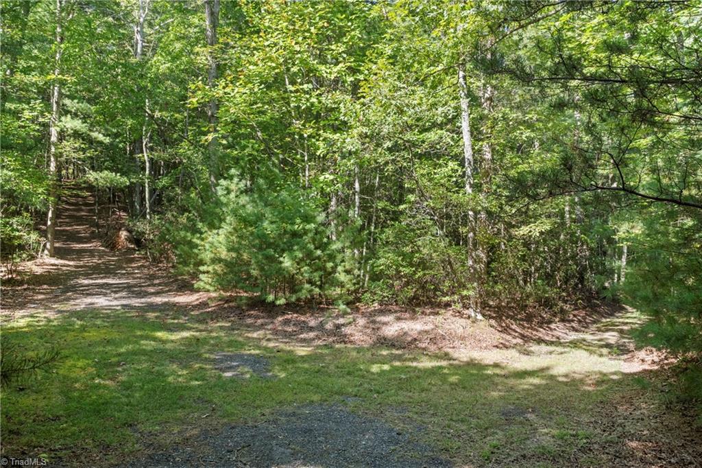 0 Mertie Road Millers Creek, NC 28651 - Photo 12 of 34