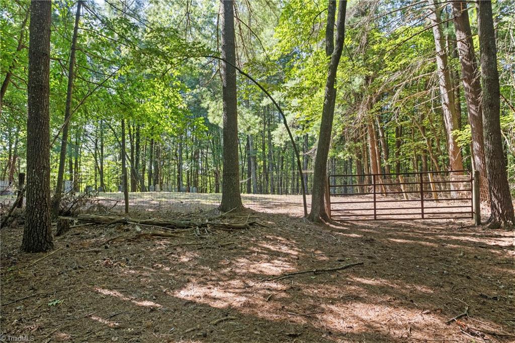 0 Mertie Road Millers Creek, NC 28651 - Photo 13 of 34