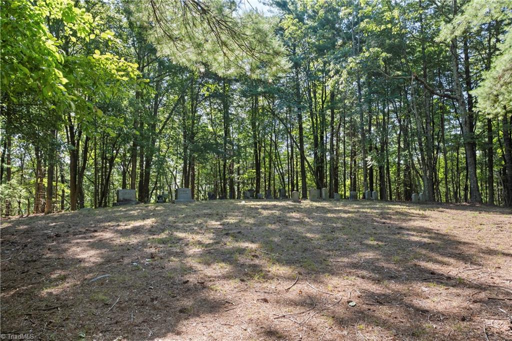 0 Mertie Road Millers Creek, NC 28651 - Photo 17 of 34