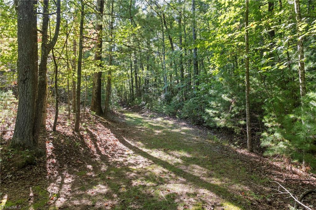 0 Mertie Road Millers Creek, NC 28651 - Photo 20 of 34