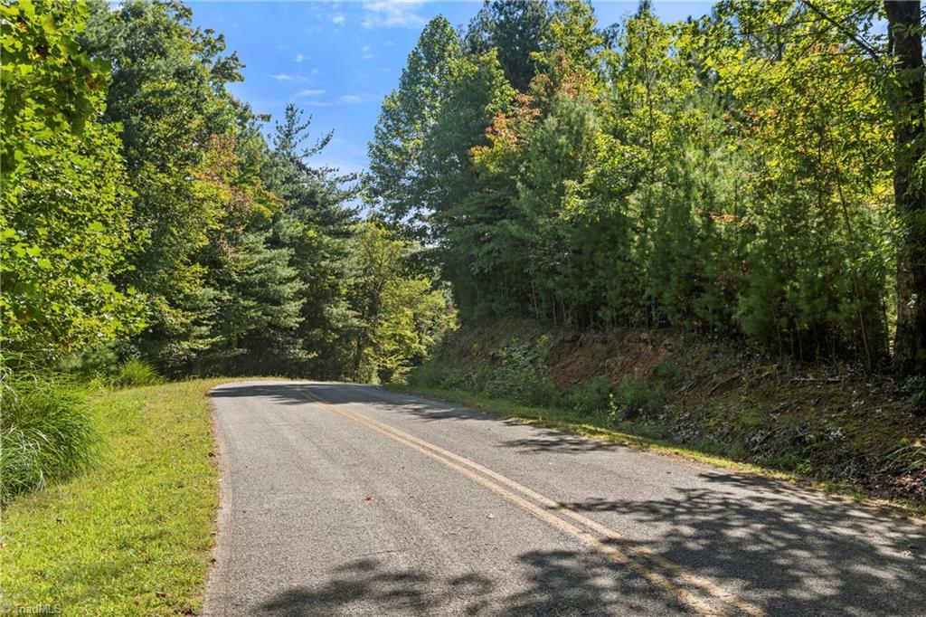 0 Mertie Road Millers Creek, NC 28651 - Photo 21 of 34