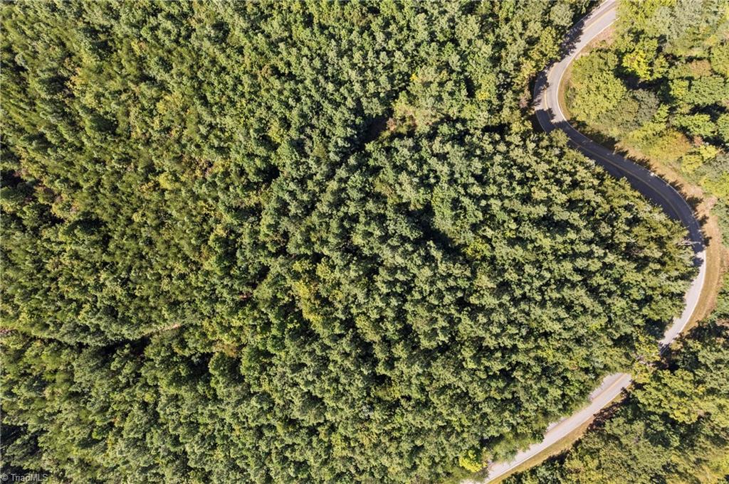 0 Mertie Road Millers Creek, NC 28651 - Photo 22 of 34