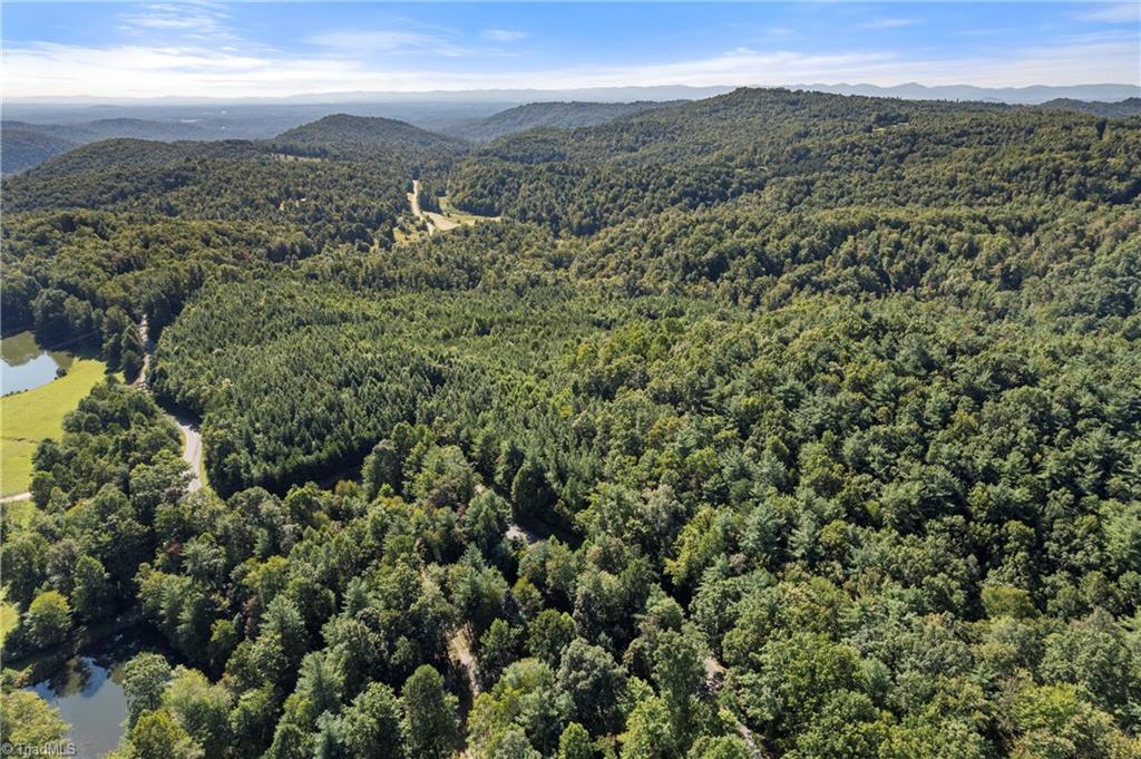 0 Mertie Road Millers Creek, NC 28651 - Photo 23 of 34