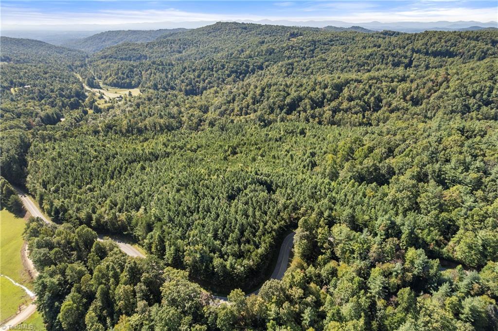 0 Mertie Road Millers Creek, NC 28651 - Photo 24 of 34