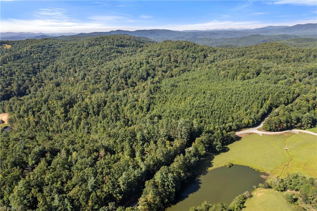 0 Mertie Road Millers Creek, NC 28651 - Photo 25 of 34