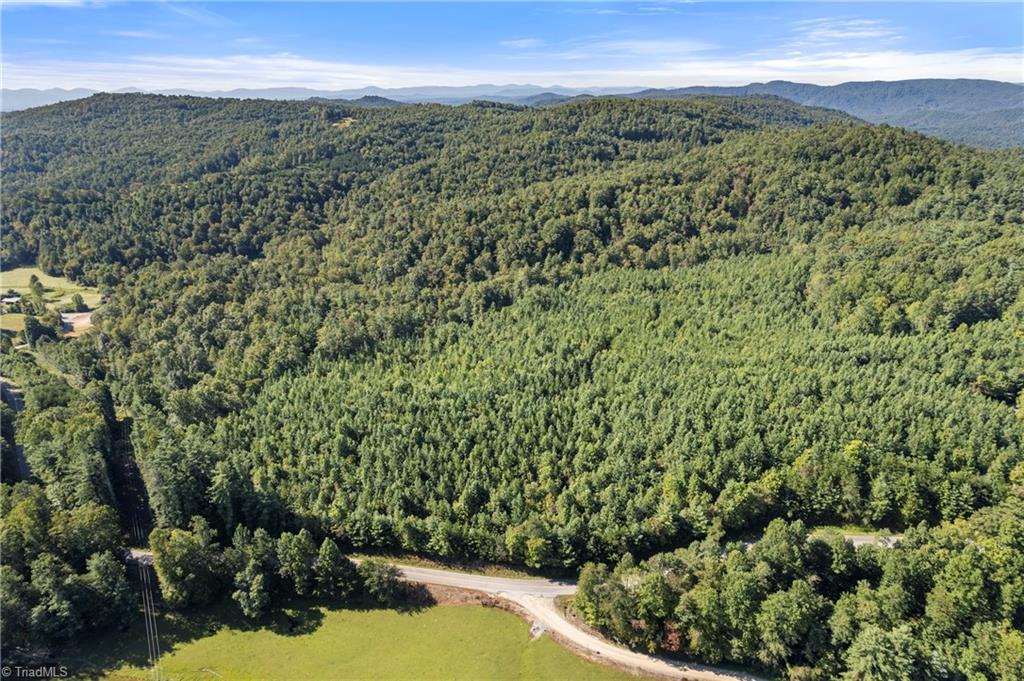 0 Mertie Road Millers Creek, NC 28651 - Photo 26 of 34