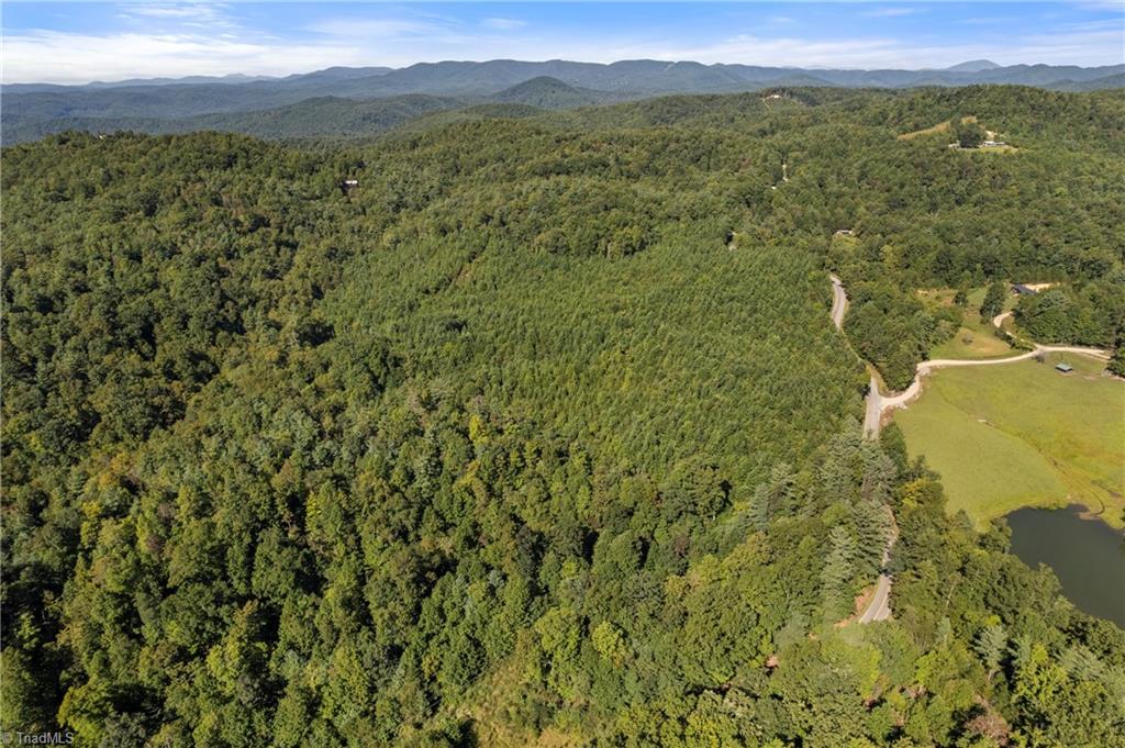 0 Mertie Road Millers Creek, NC 28651 - Photo 28 of 34