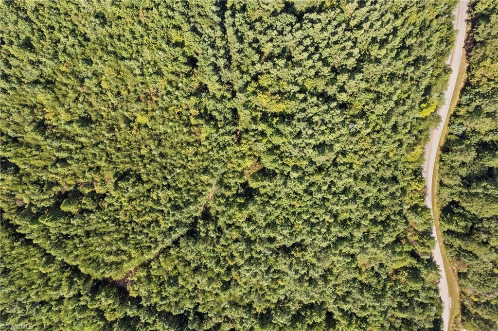 0 Mertie Road Millers Creek, NC 28651 - Photo 29 of 34