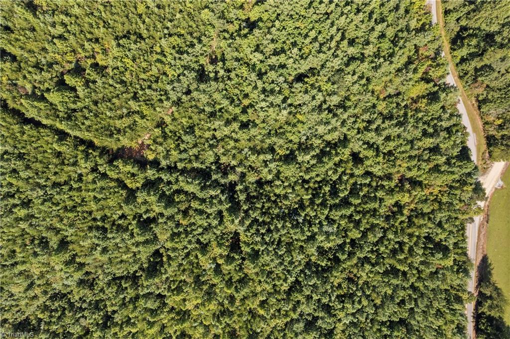 0 Mertie Road Millers Creek, NC 28651 - Photo 30 of 34