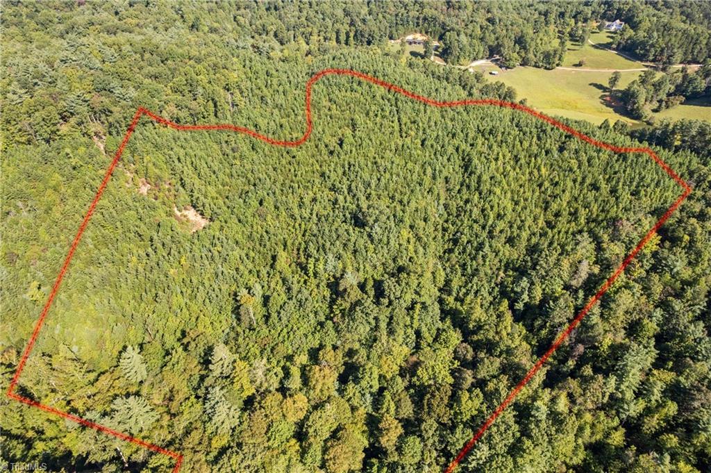 0 Mertie Road Millers Creek, NC 28651 - Photo 3 of 34