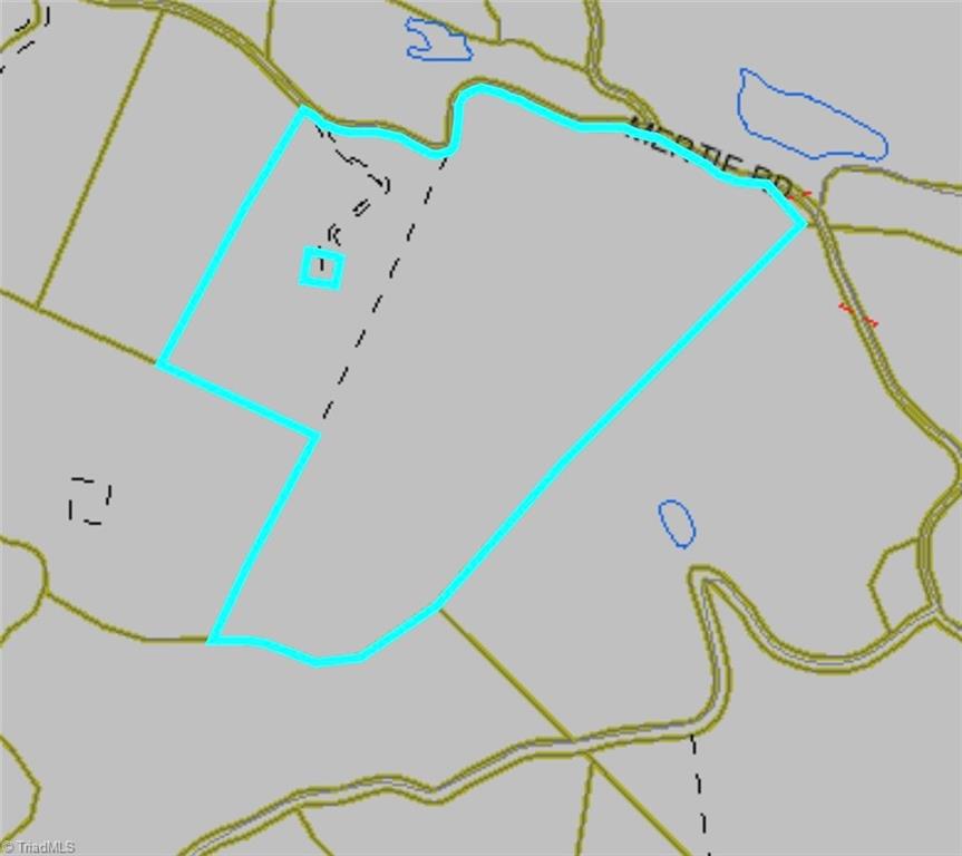 0 Mertie Road Millers Creek, NC 28651 - Photo 32 of 34