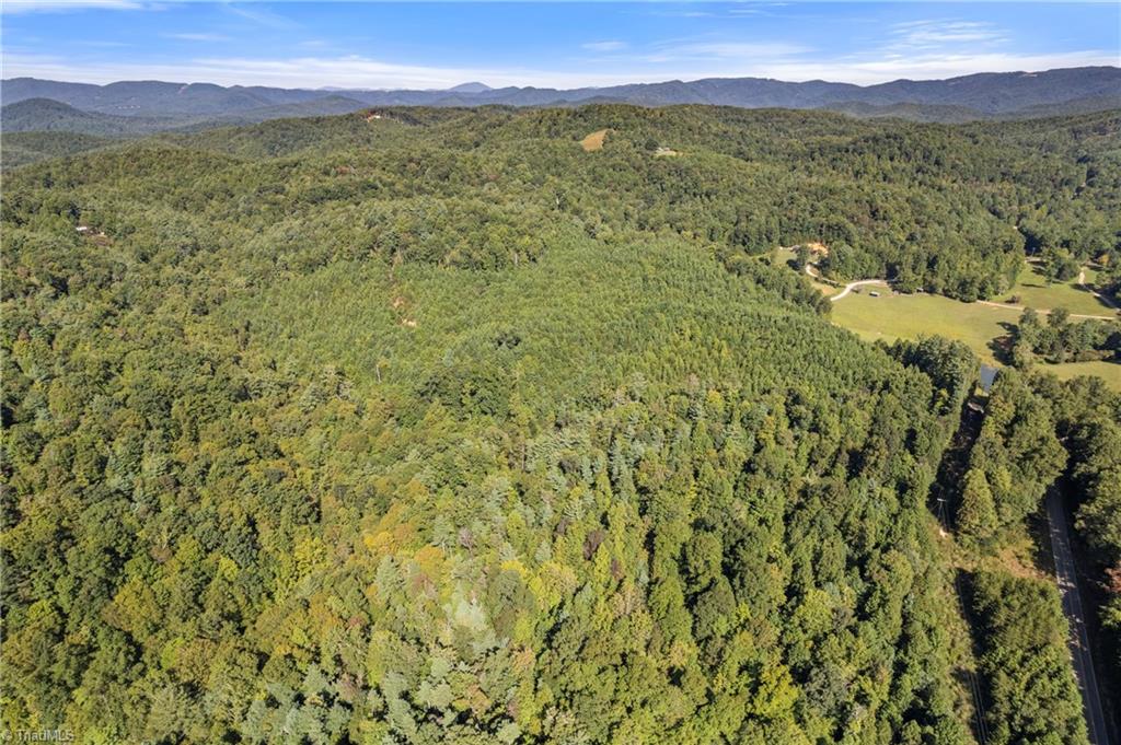 0 Mertie Road Millers Creek, NC 28651 - Photo 4 of 34