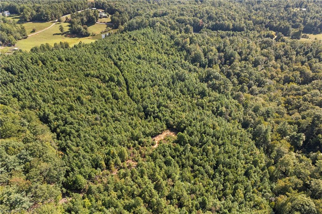 0 Mertie Road Millers Creek, NC 28651 - Photo 5 of 34