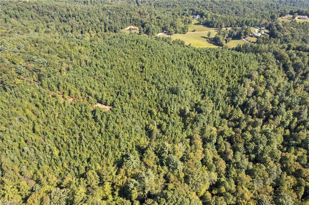 0 Mertie Road Millers Creek, NC 28651 - Photo 6 of 34