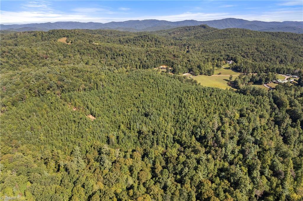 0 Mertie Road Millers Creek, NC 28651 - Photo 7 of 34