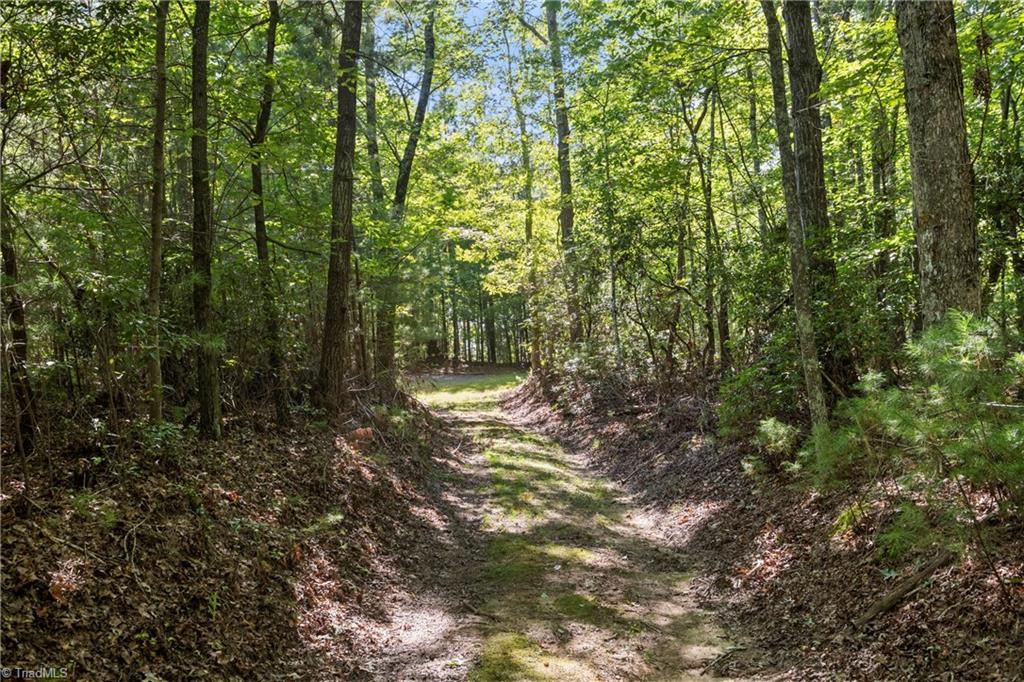0 Mertie Road Millers Creek, NC 28651 - Photo 9 of 34