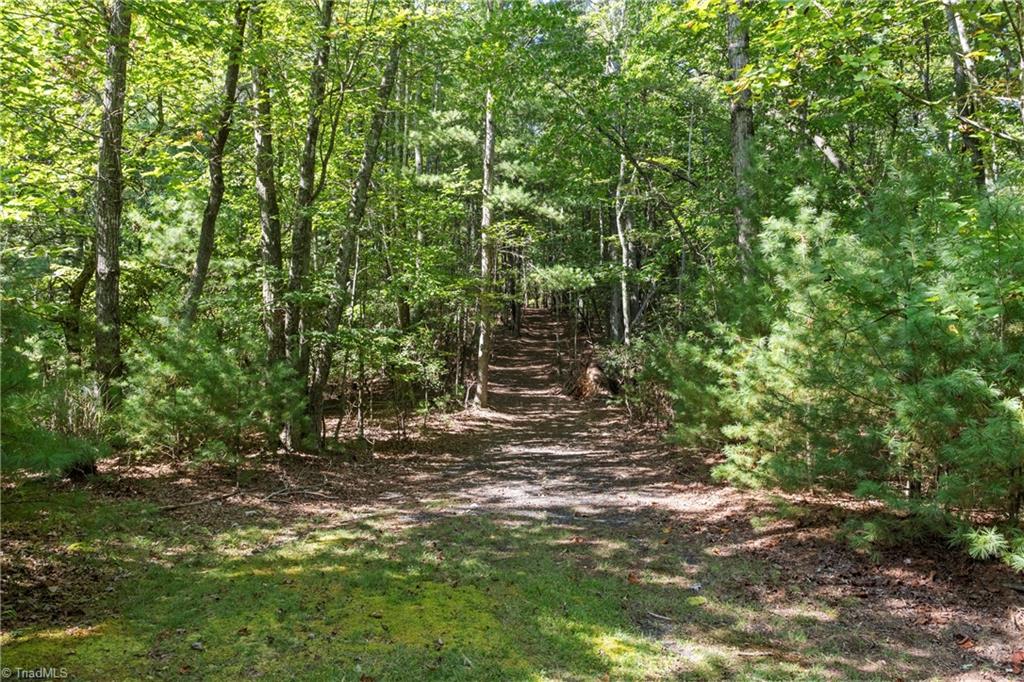 0 Mertie Road Millers Creek, NC 28651 - Photo 10 of 34