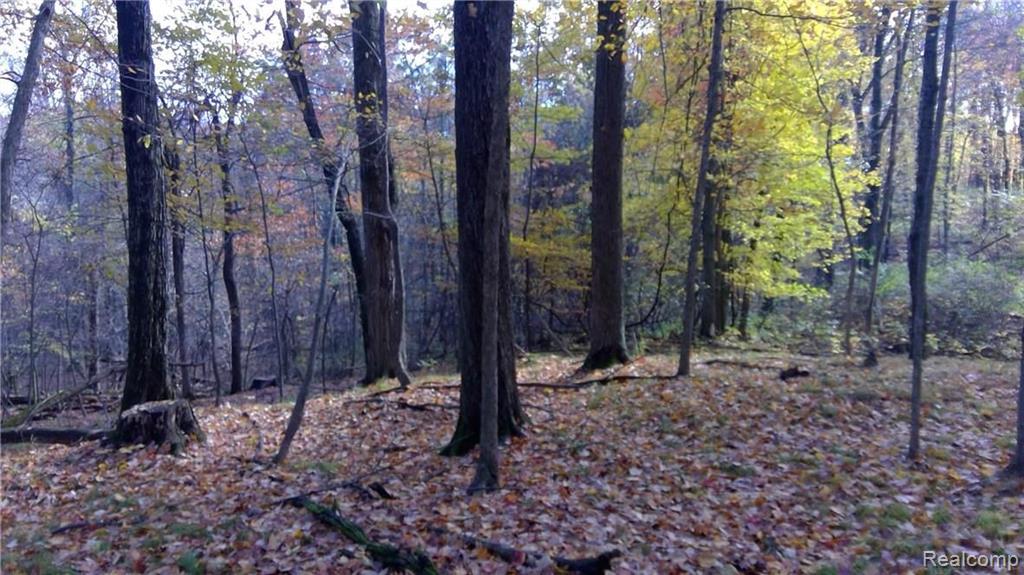 0 Hosner Road Oxford, MI 48370 - Photo 9 of 27