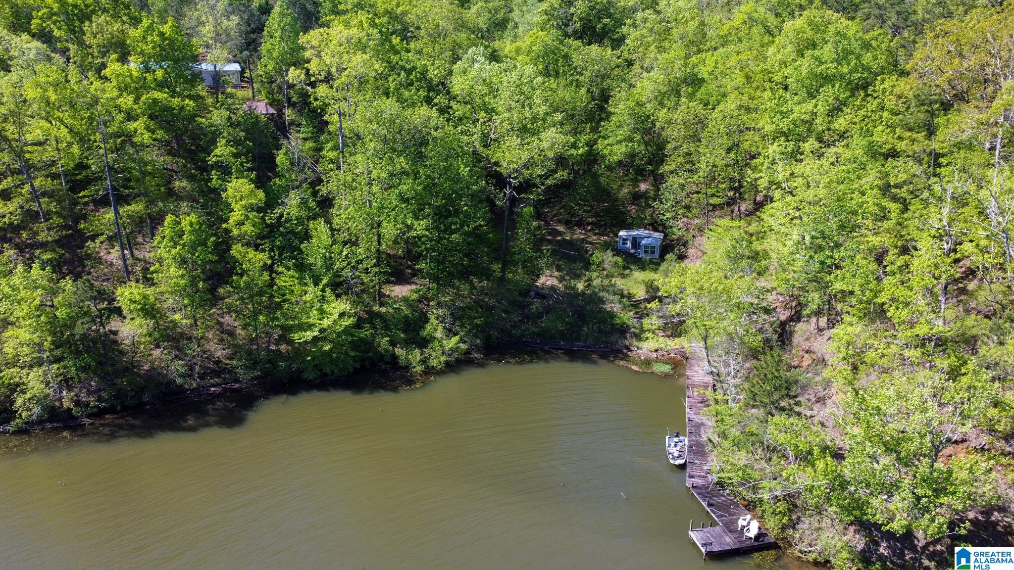 517 Indian Springs Road Rockford, AL 35136 - Photo 33 of 39