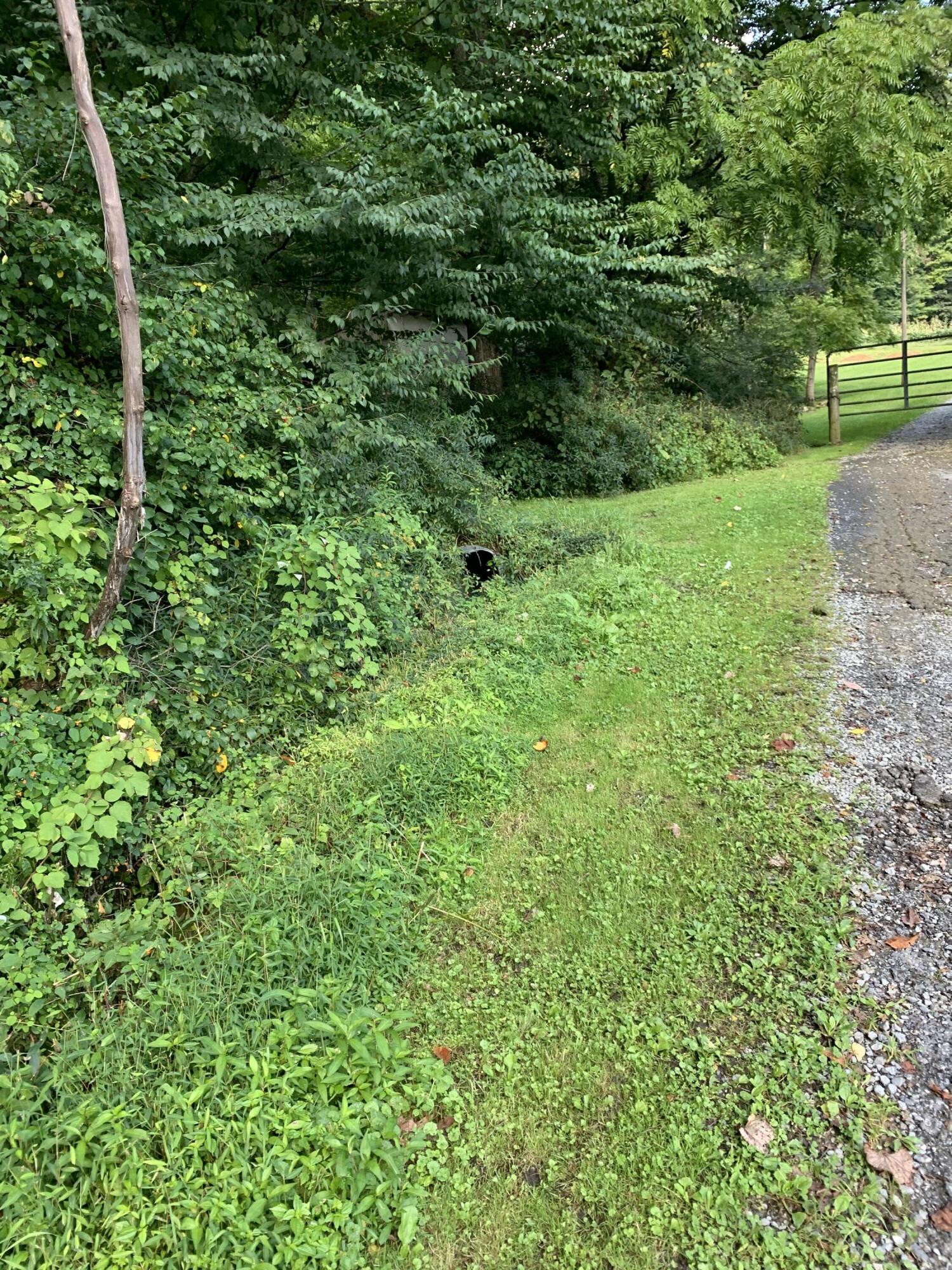 Tbd Bob Hardin Road Flag Pond, TN 37657 - Photo 2 of 10 front