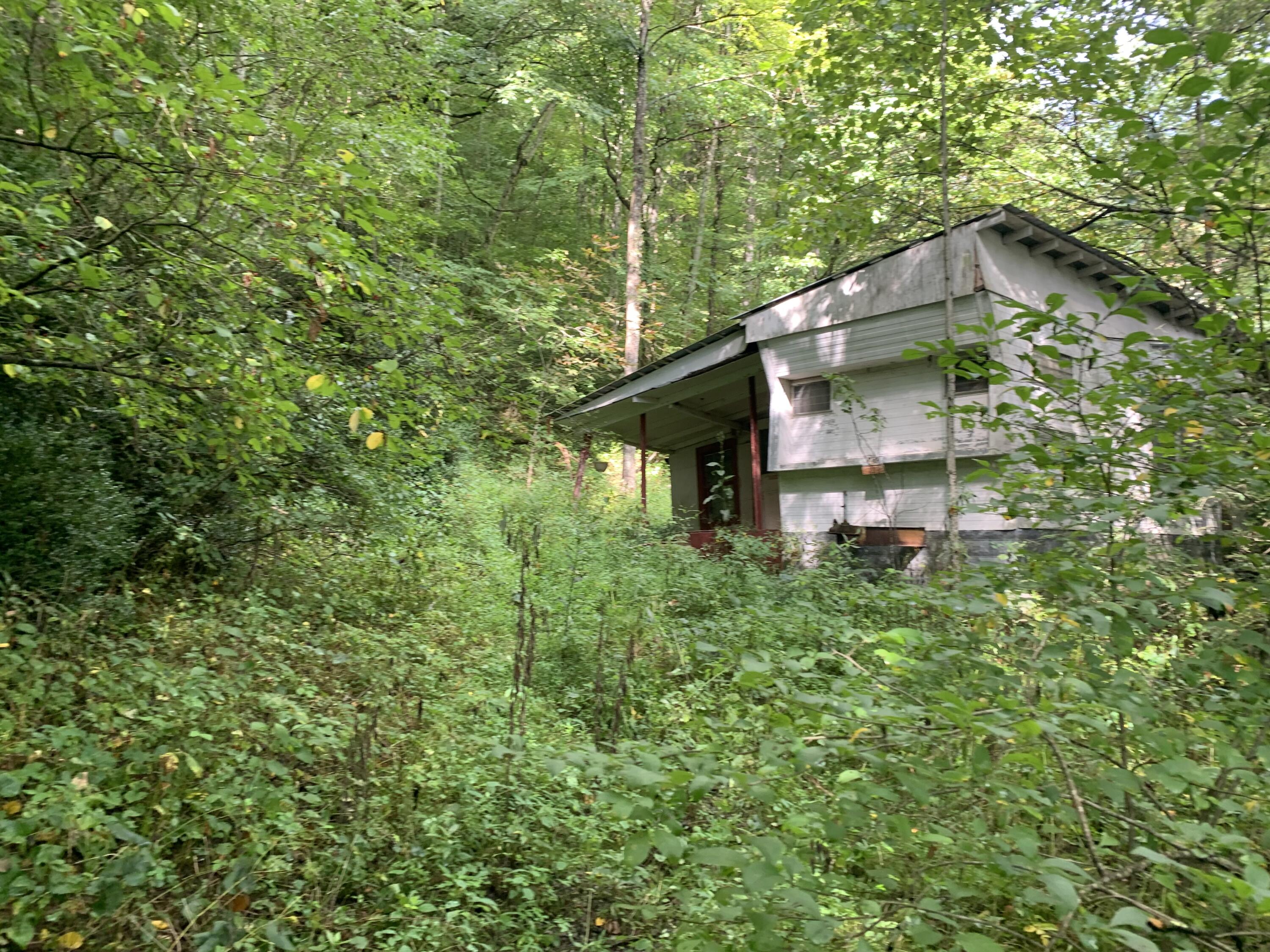 Tbd Bob Hardin Road Flag Pond, TN 37657 - Photo 9 of 10 trailor