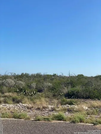 a view of a dry field with trees in background