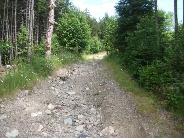 9 Chambers Point Road Roque Bluffs, ME 04654 - Photo 4 of 16 Photo
