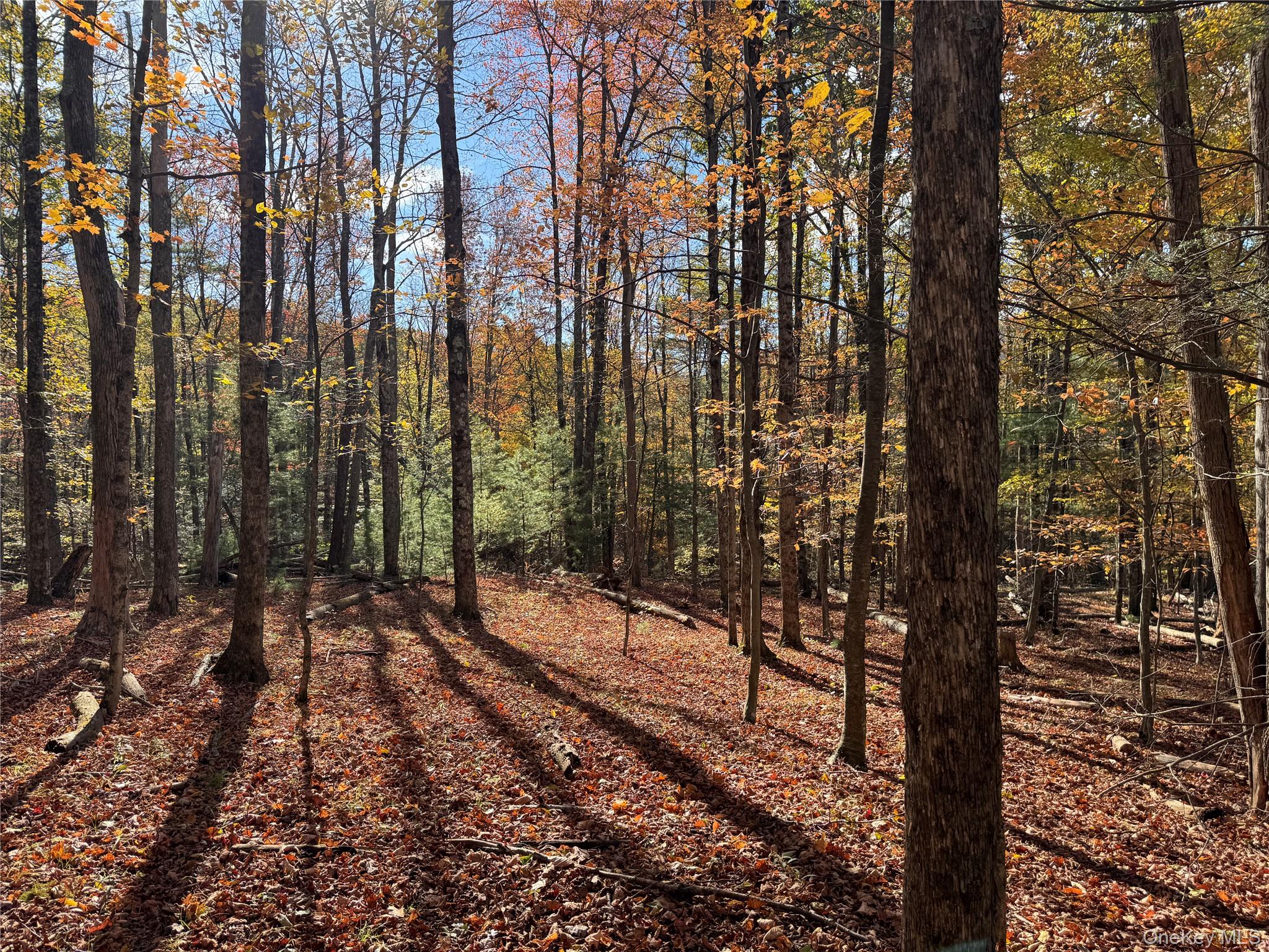 Tbd Cross Patch Road Woodstock, NY 12498 - Photo 2 of 12 a view of an outdoor space