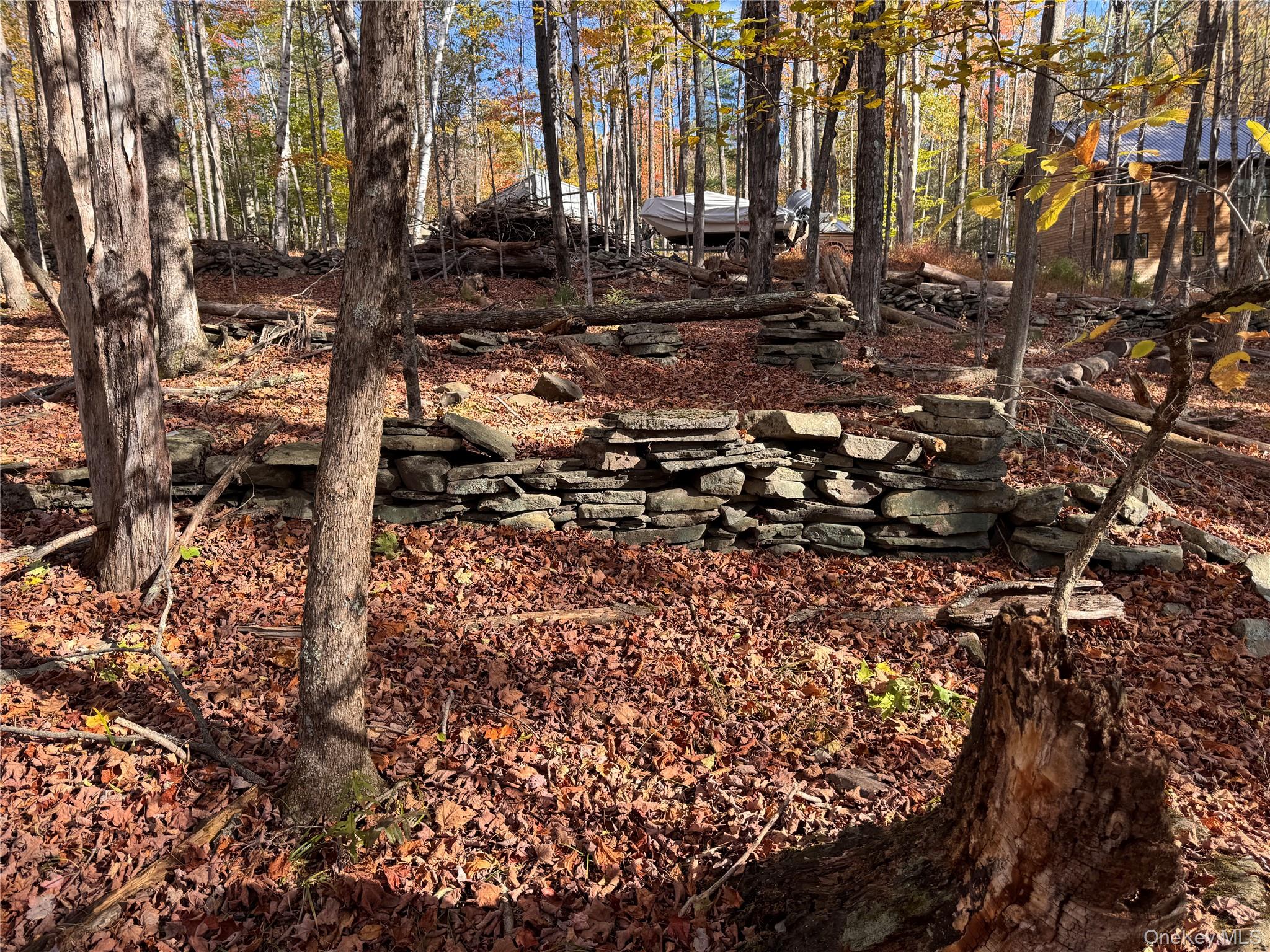 Tbd Cross Patch Road Woodstock, NY 12498 - Photo 4 of 12 a view of a yard with trees