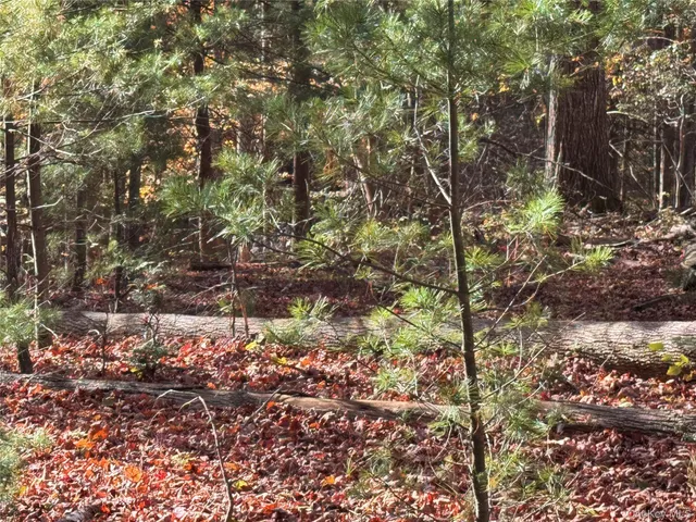 a view of a yard with plants and trees