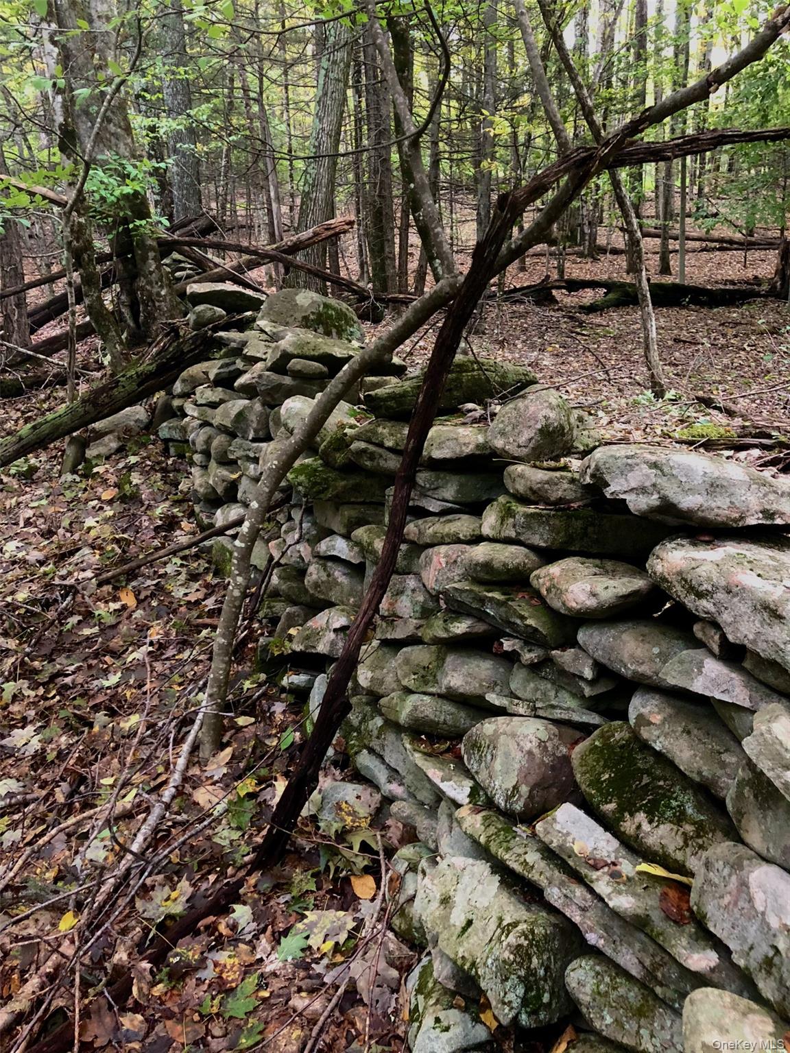 Tbd Cross Patch Road Woodstock, NY 12498 - Photo 8 of 12 a view of a large yard