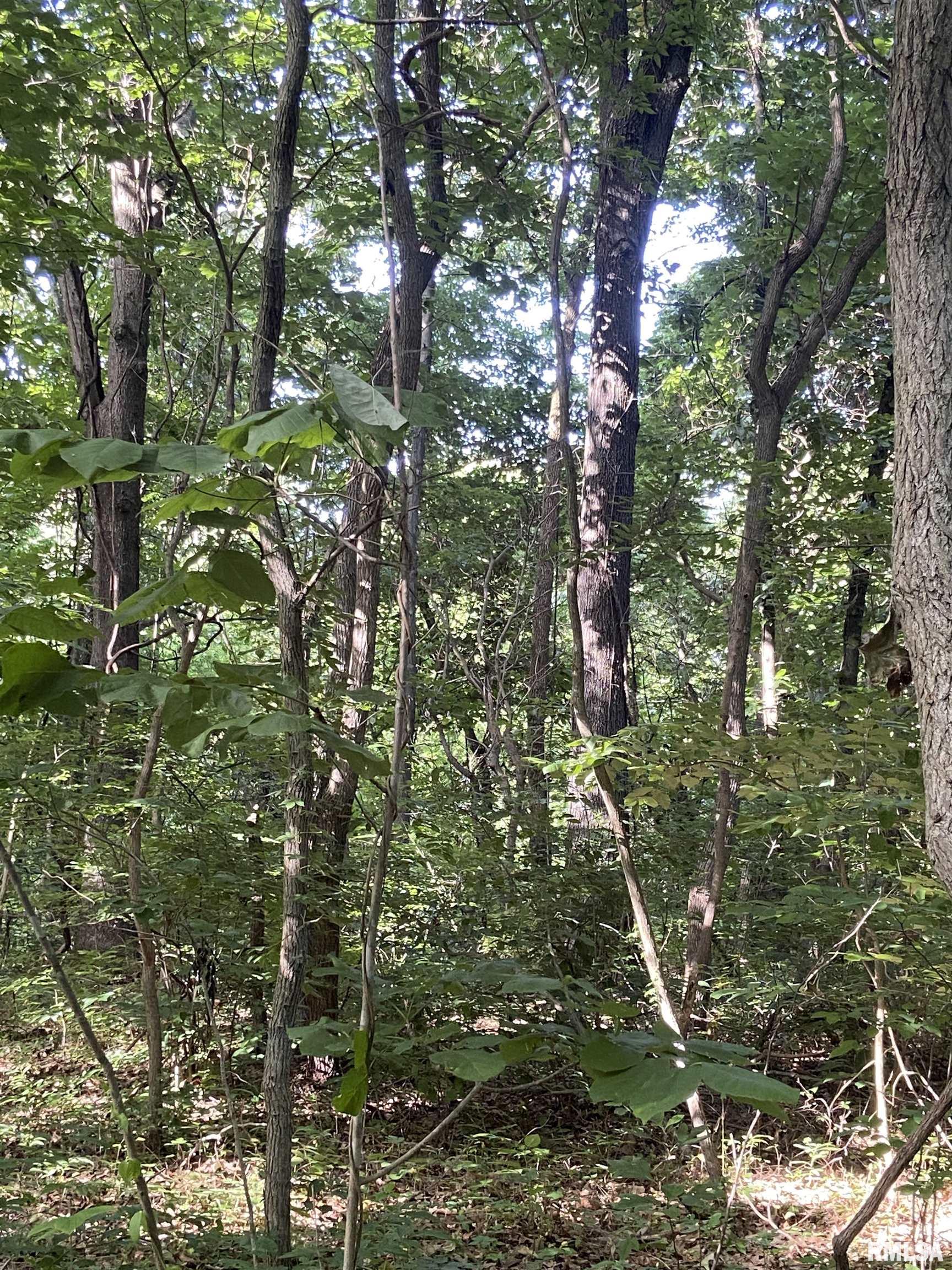 390 Rolling Hills Road Grand Chain, IL 62941 - Photo 23 of 52
