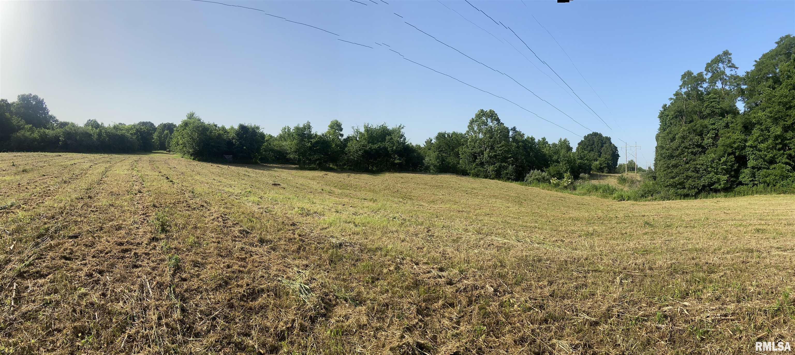 390 Rolling Hills Road Grand Chain, IL 62941 - Photo 4 of 52