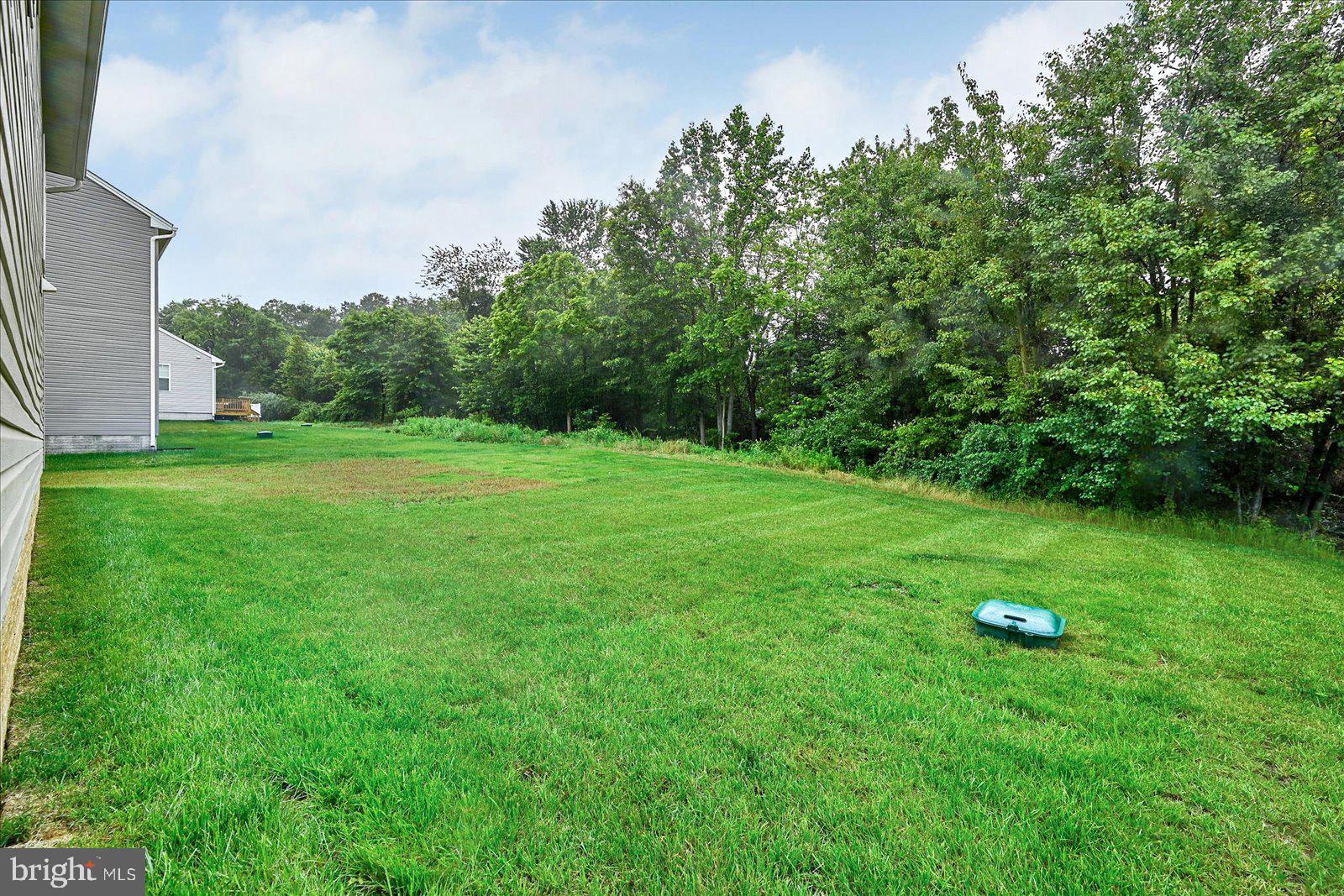 65 Chase Circle Elkton, MD 21921 - Photo 31 of 31 a backyard of a house with lots of green space