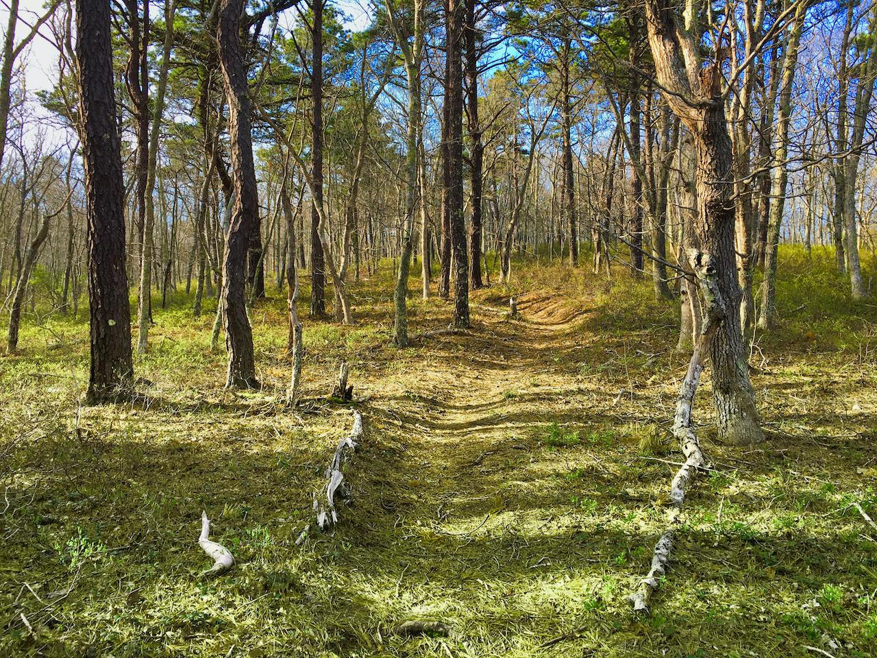 58 Slough Pond Road Truro, MA 02666 - Photo 30 of 30