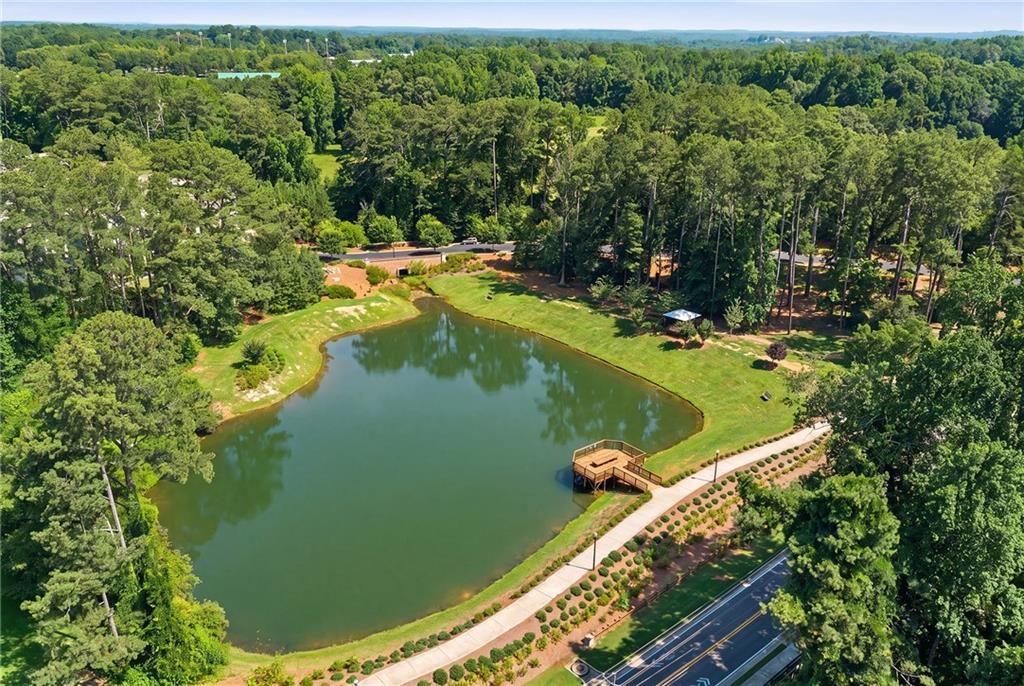 896 Mayfield Road Alpharetta, GA 30004 - Photo 33 of 55