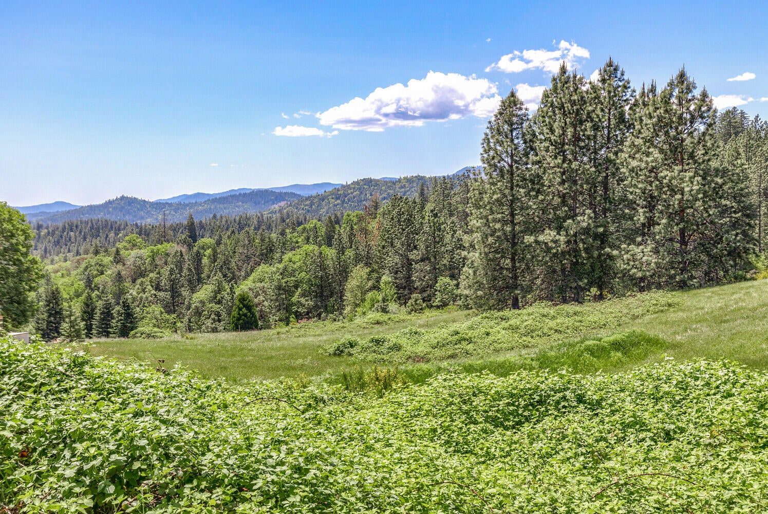 5916 Tunnel Loop Road Grants Pass, OR 97526 - Photo 42 of 65 46_Apex_TL_46_mls