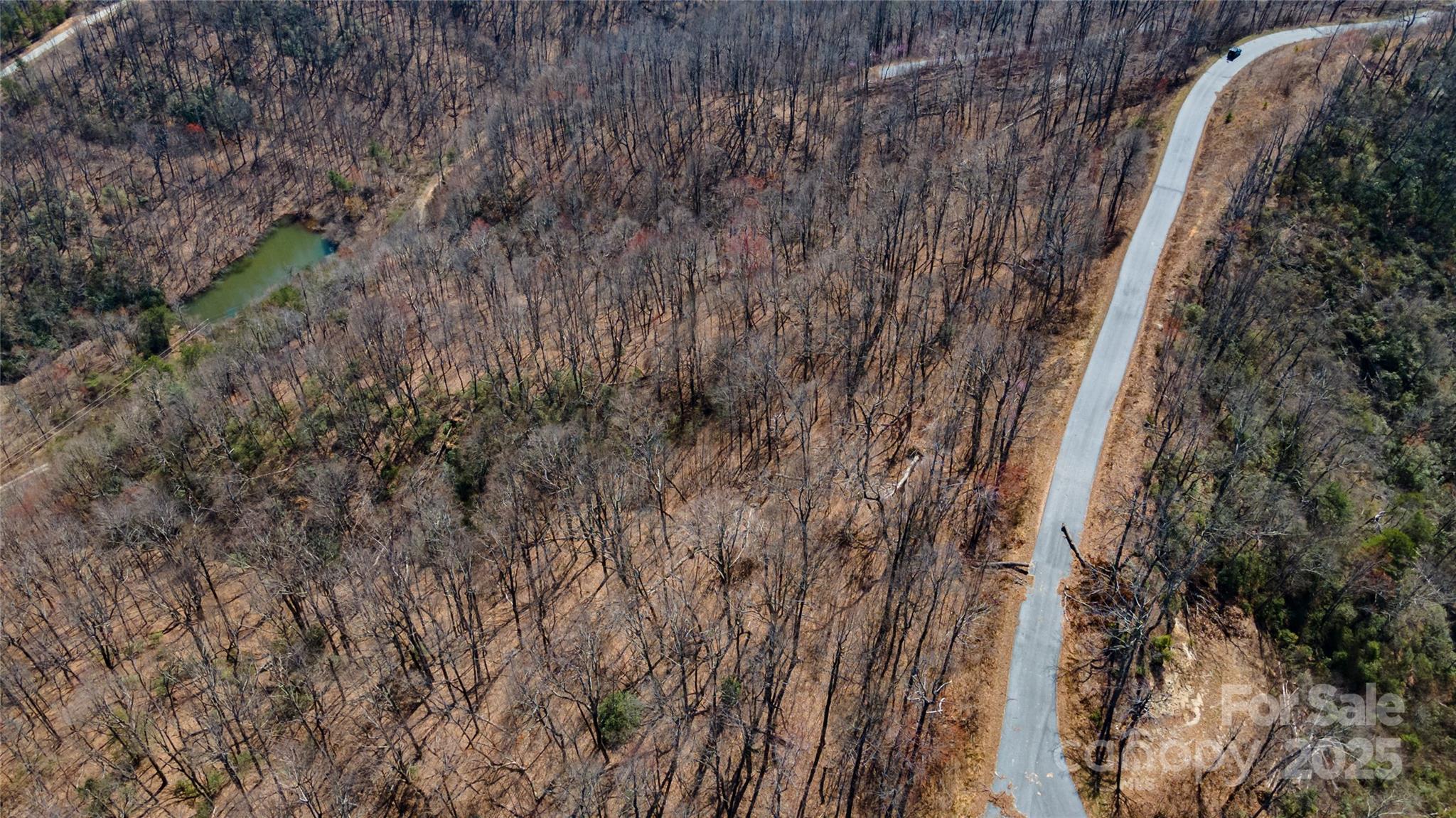 99 Devin Rdg Lane Union Mills, NC 28167 - Photo 11 of 18