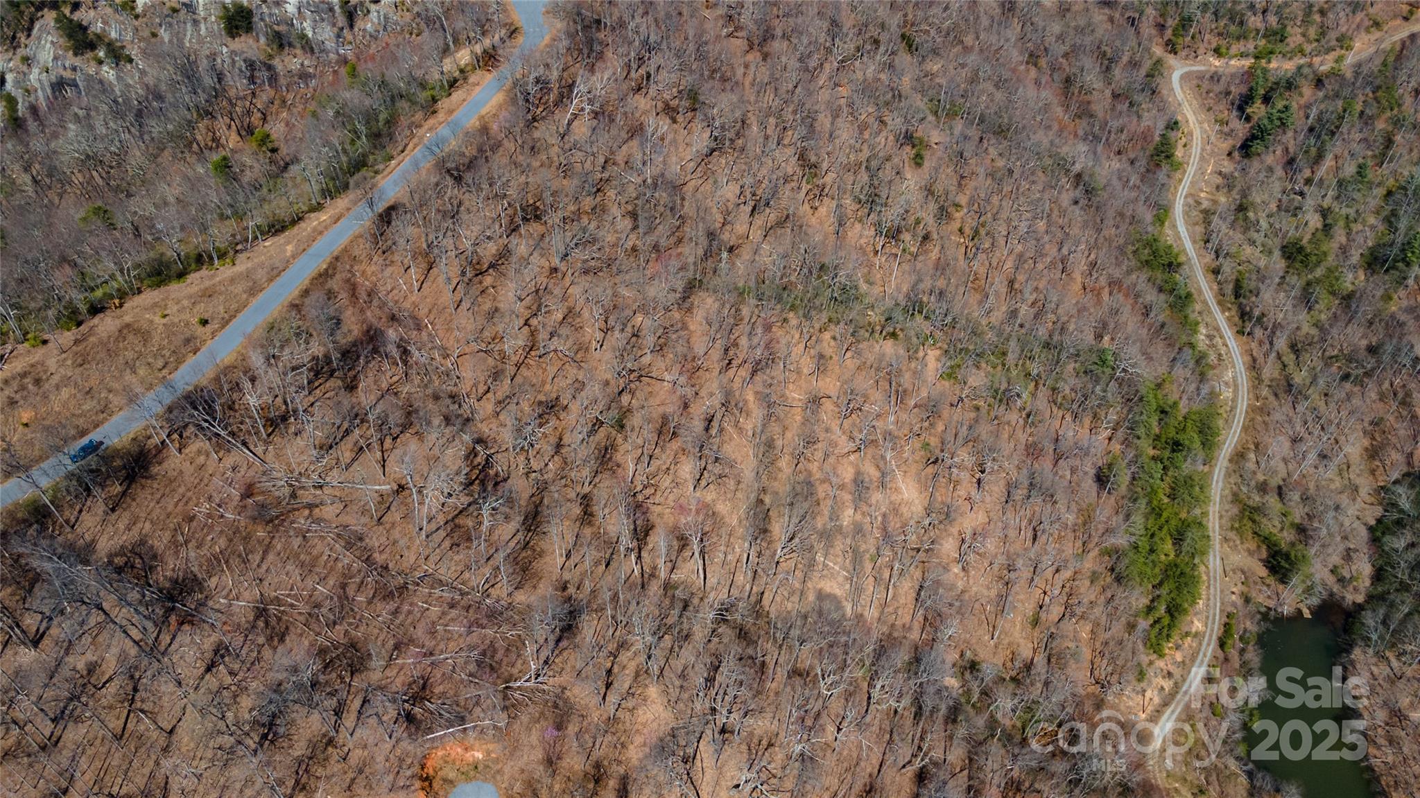 99 Devin Rdg Lane Union Mills, NC 28167 - Photo 15 of 18