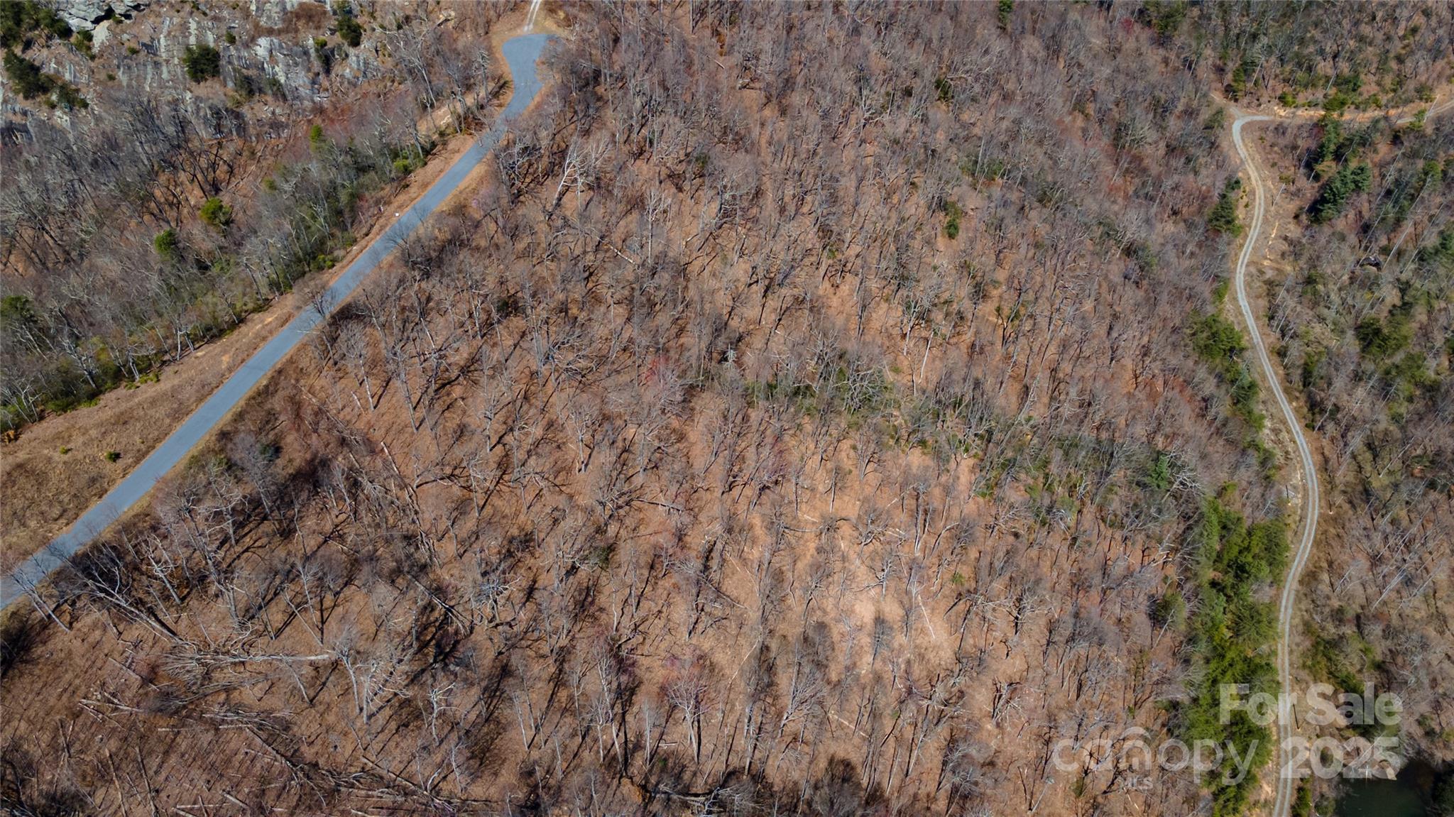 99 Devin Rdg Lane Union Mills, NC 28167 - Photo 16 of 18