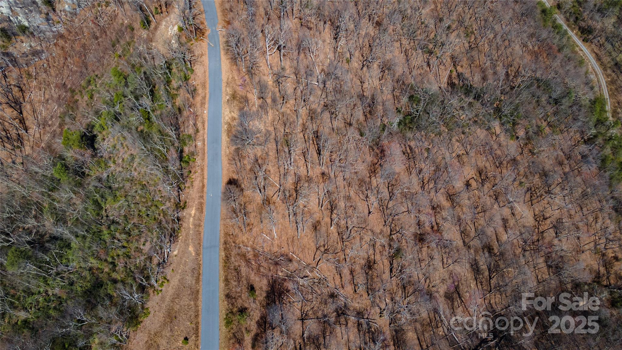 99 Devin Rdg Lane Union Mills, NC 28167 - Photo 2 of 18