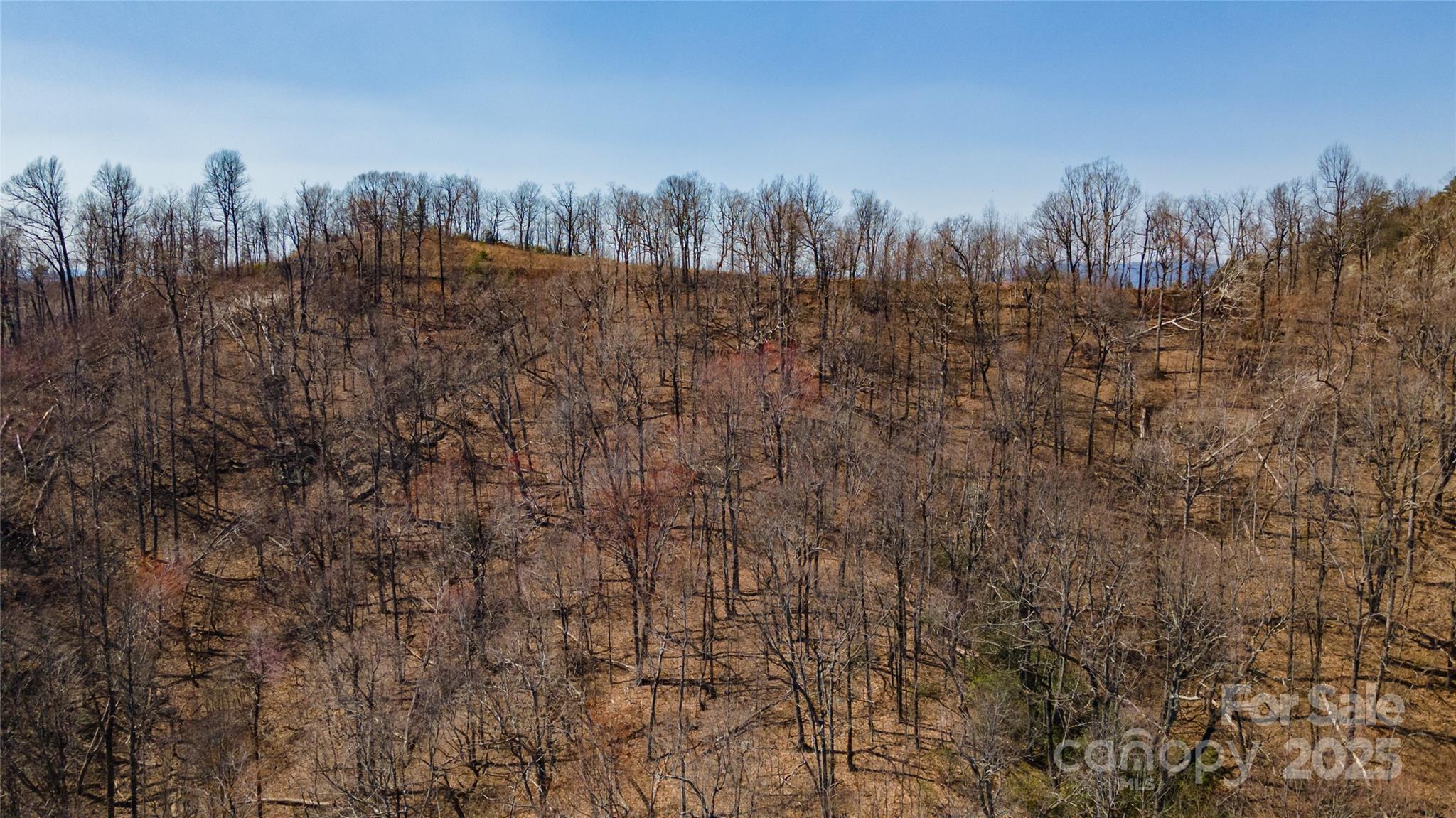 99 Devin Rdg Lane Union Mills, NC 28167 - Photo 3 of 18