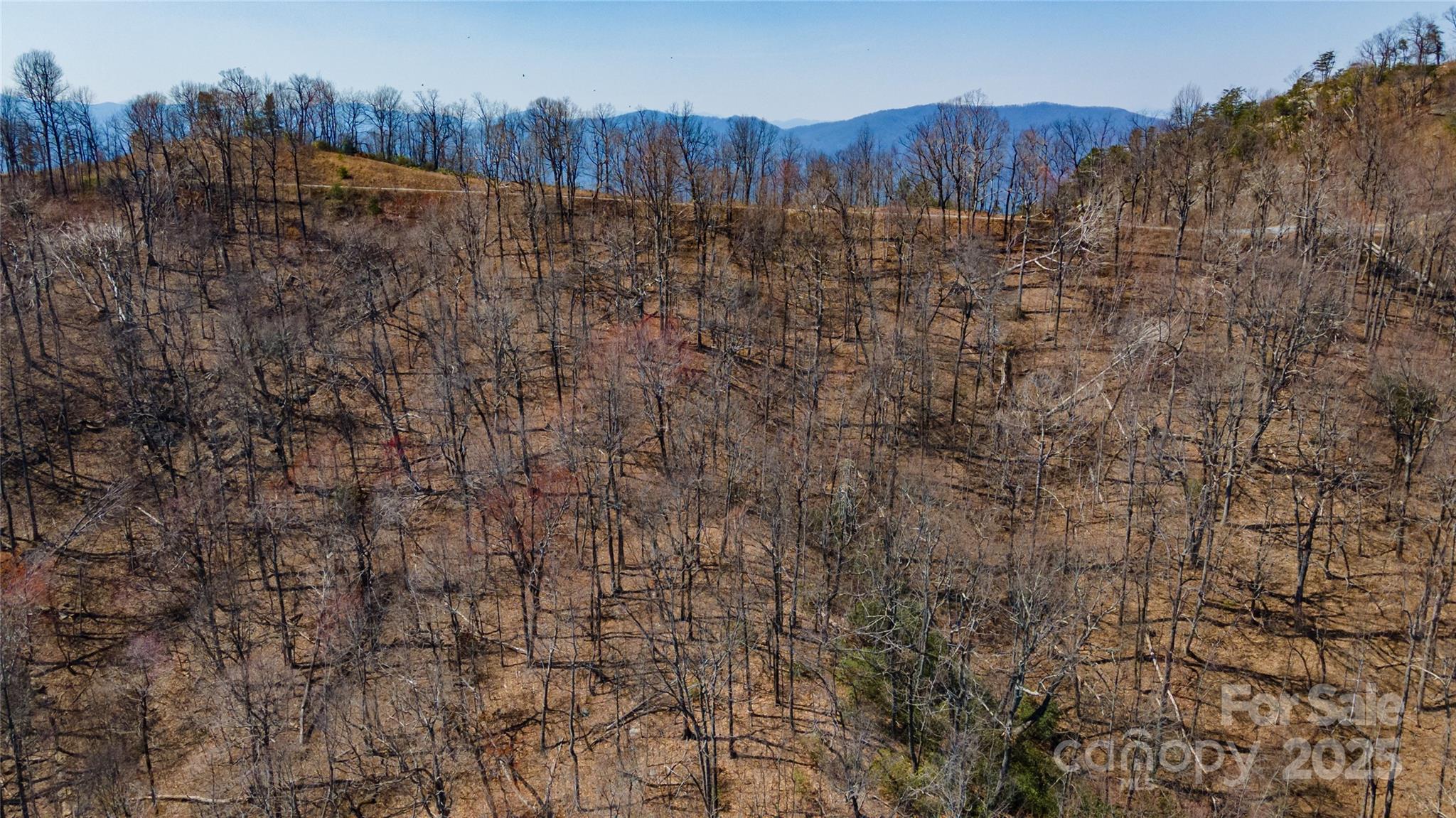 99 Devin Rdg Lane Union Mills, NC 28167 - Photo 4 of 18