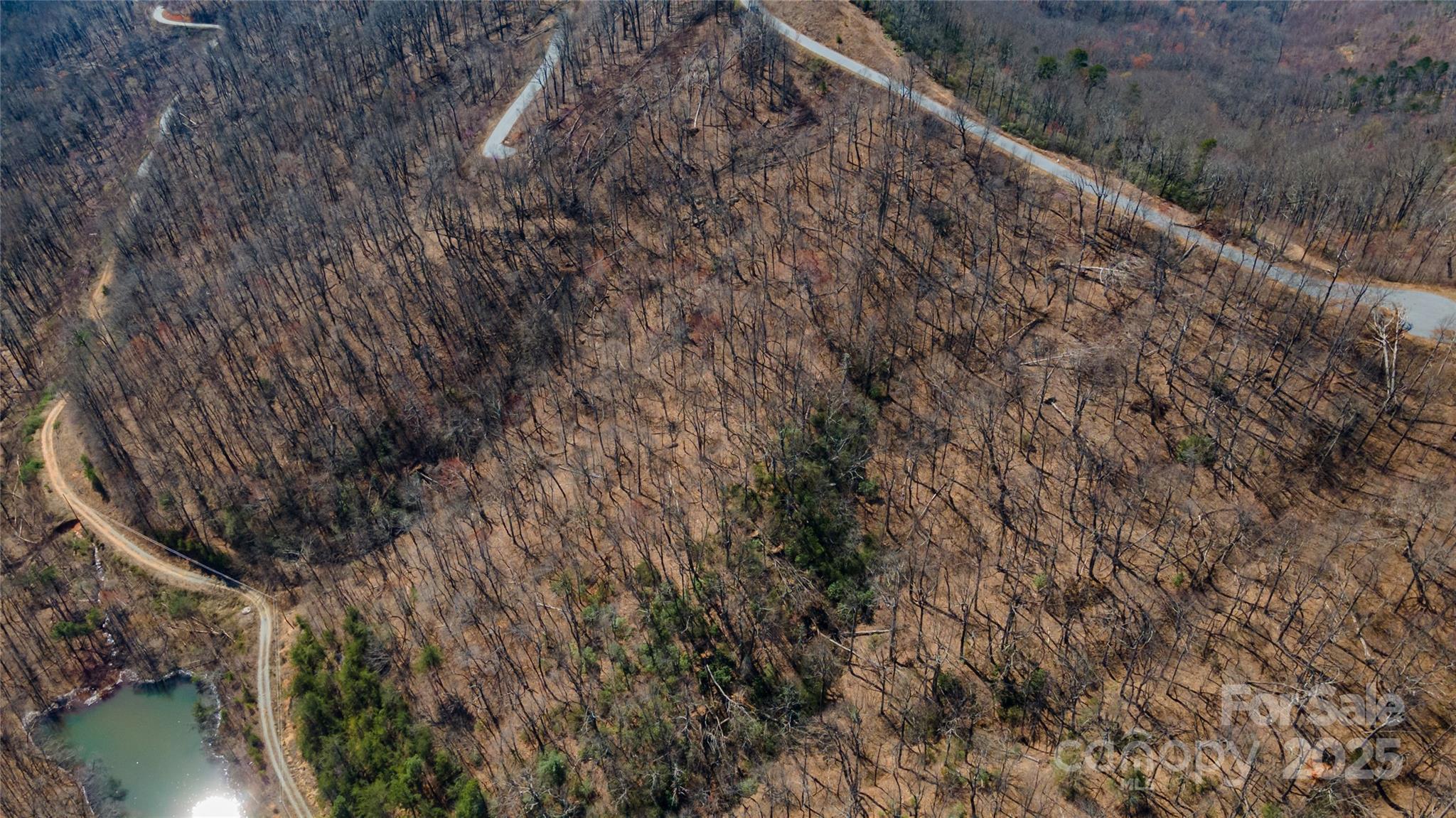 99 Devin Rdg Lane Union Mills, NC 28167 - Photo 7 of 18