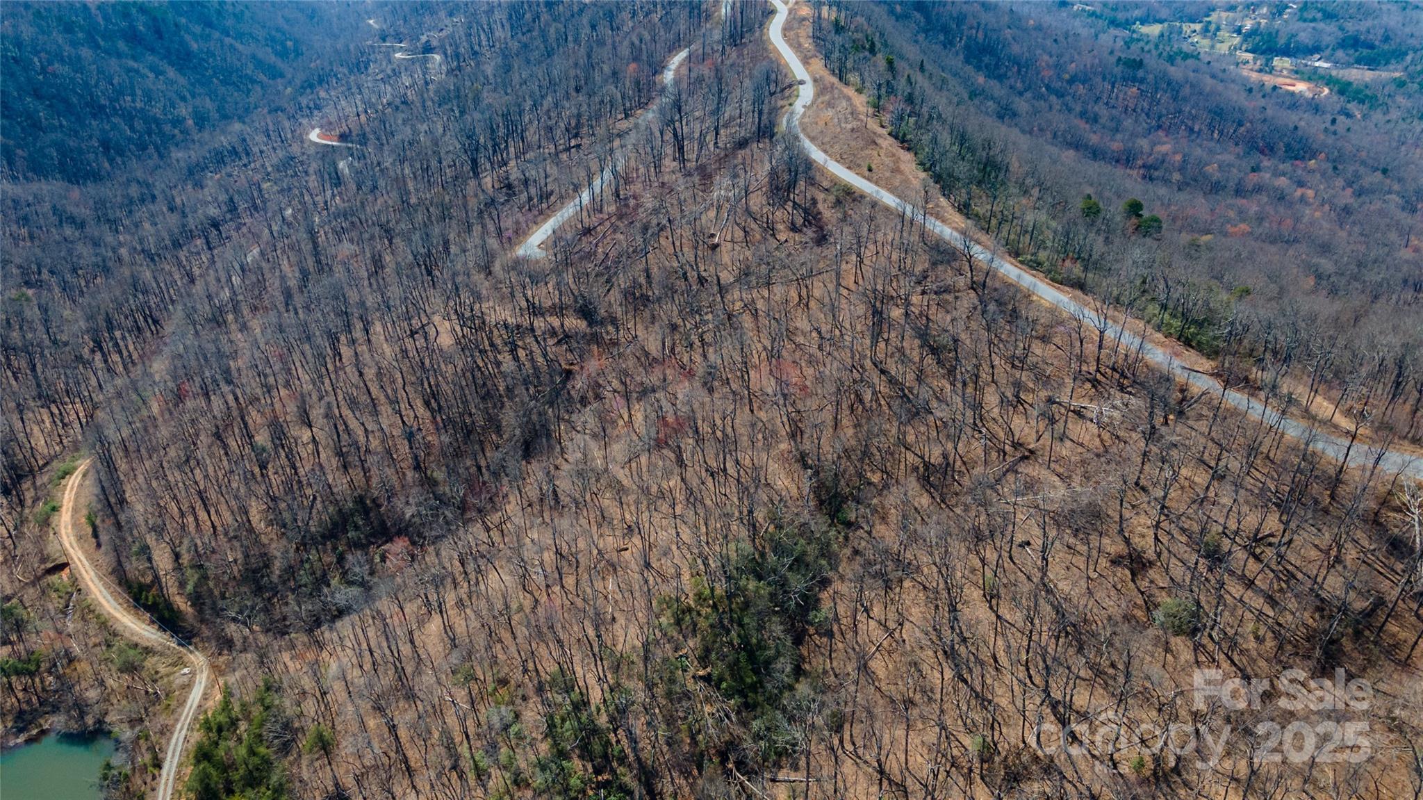 99 Devin Rdg Lane Union Mills, NC 28167 - Photo 8 of 18